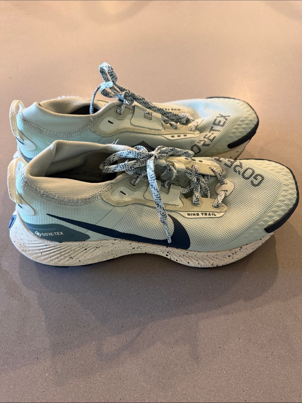 Nike Gortex Trail Runners